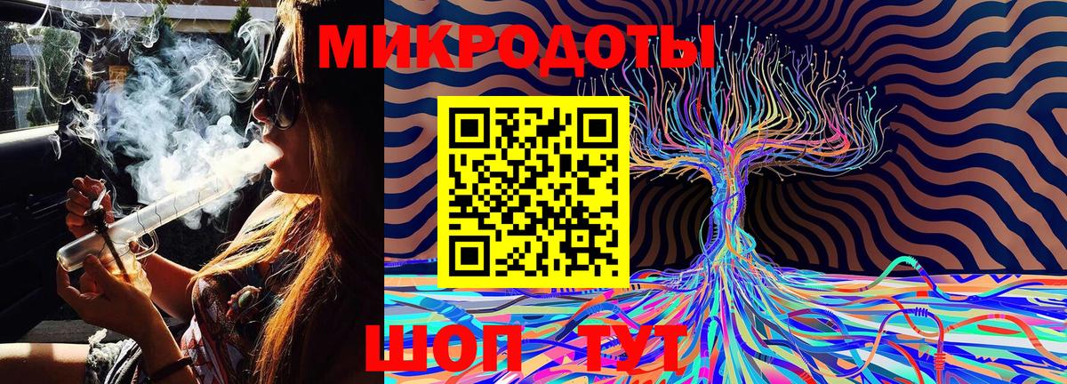 Галлюциногенные грибы Psilocybe  Вход с VPN  Клин 